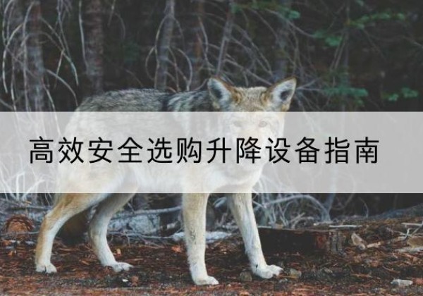 城区升降货梯厂家推荐-*安全选购升降设备指南